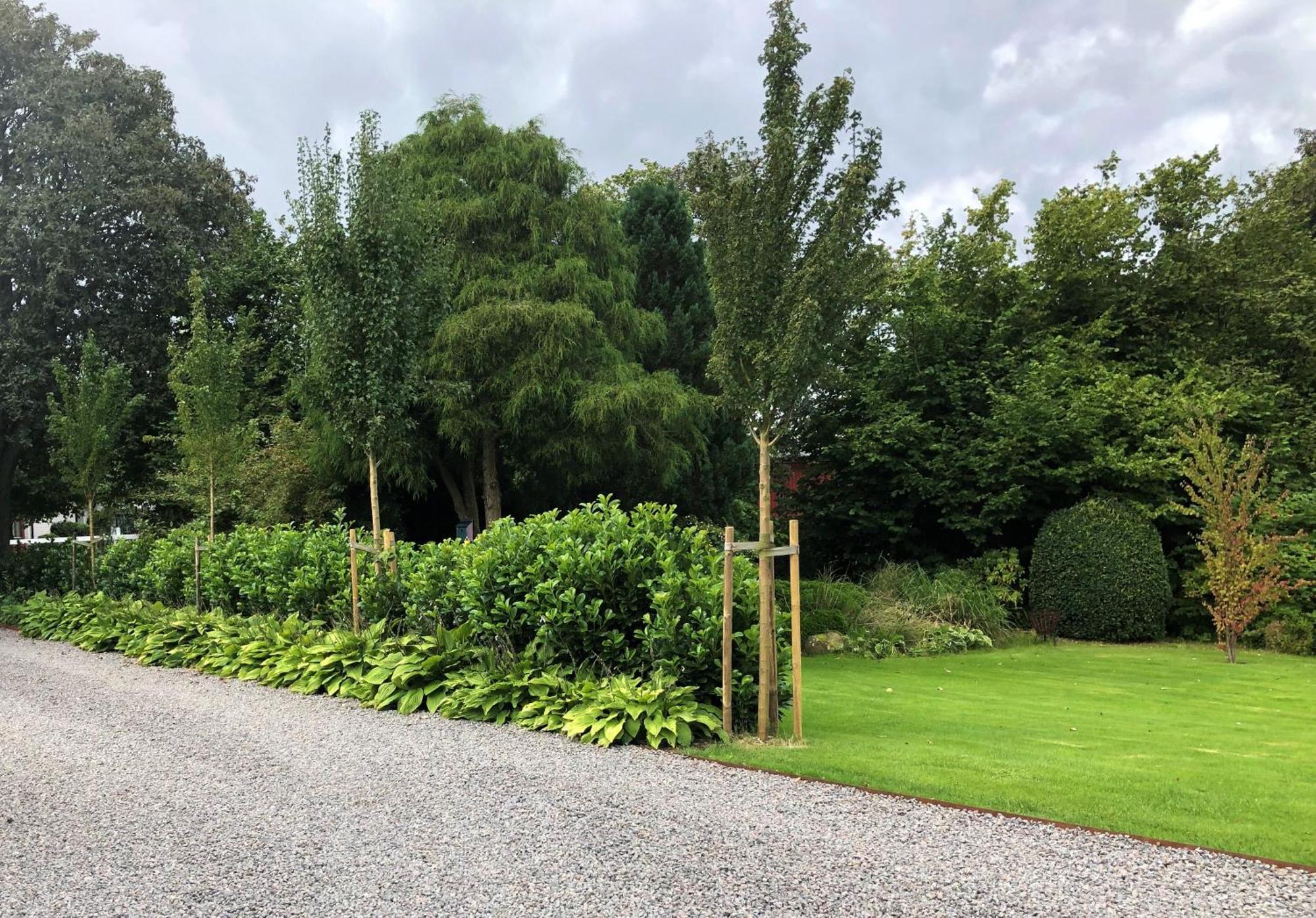 Villa Maria Garden Cottages, Helsingborg Exterior photo