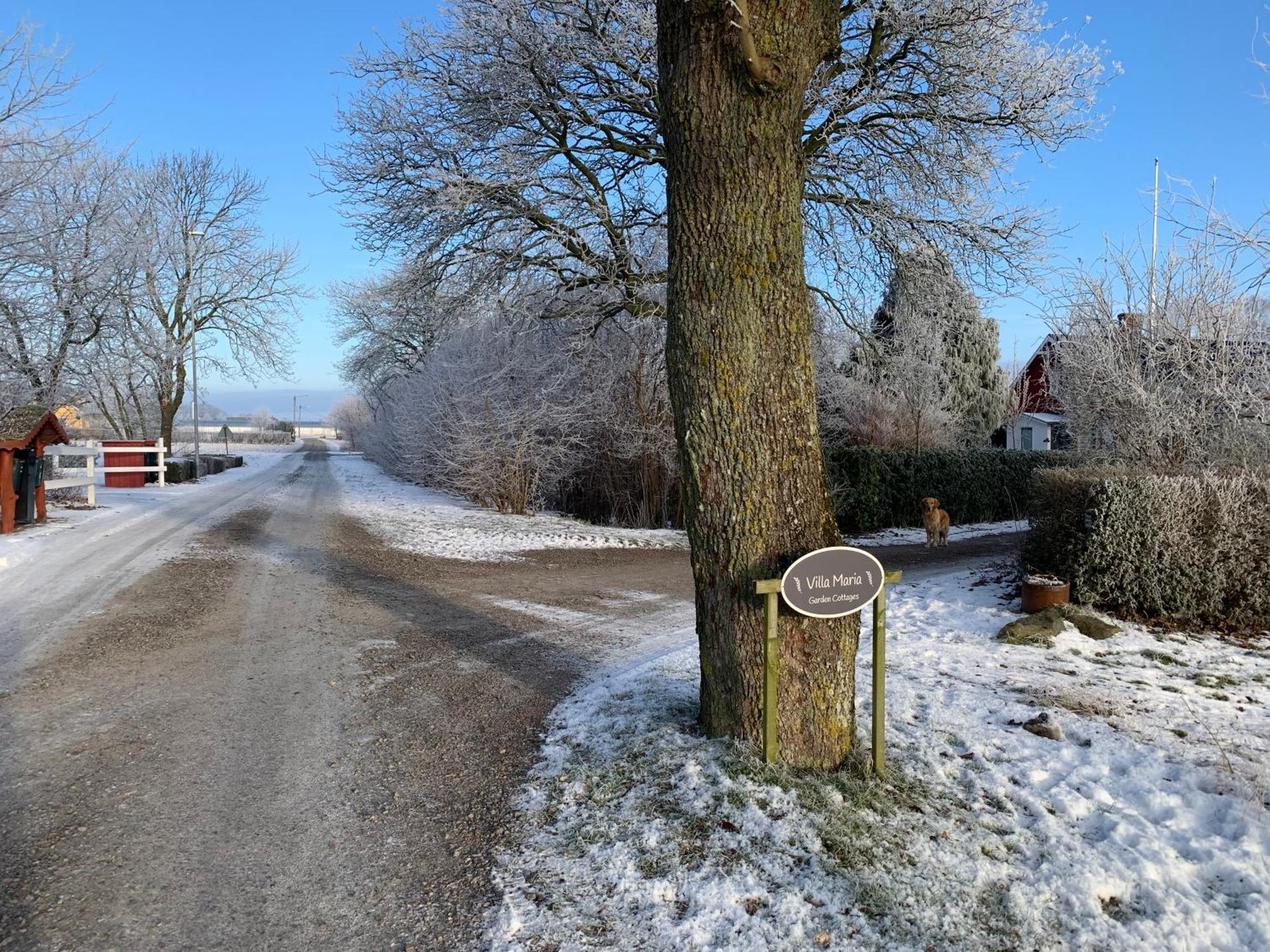 Villa Maria Garden Cottages, Helsingborg Exterior photo